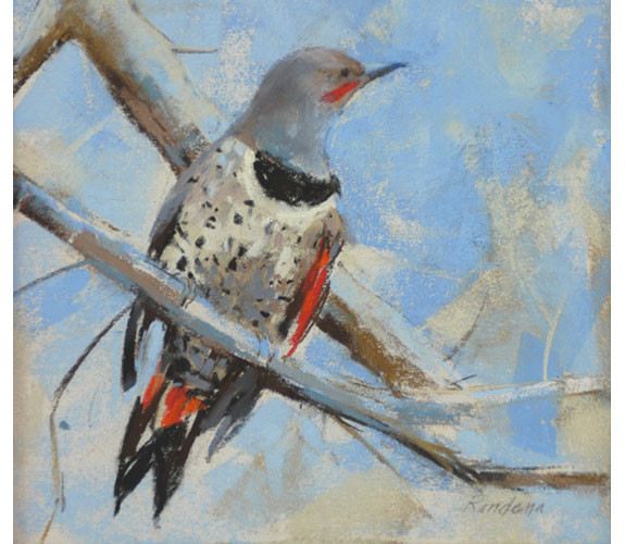 Randena Walsh "Northern Flicker"